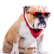 iStock